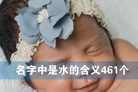 ˮĺx461