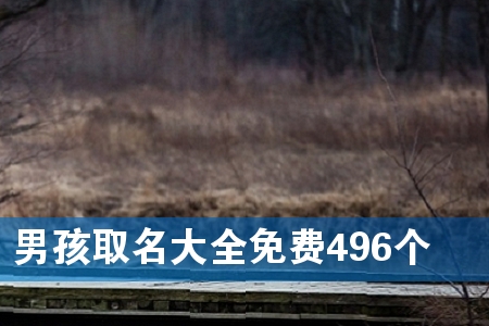 кȡȫM(fi)496(g)