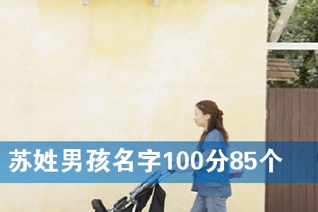 Kк10085