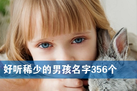  (tng)ϡٵк356(g)