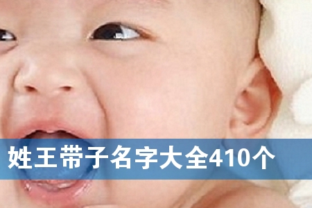 ִȫ410(g)