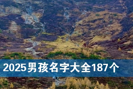 2025кִȫ187