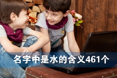 ˮĺx461