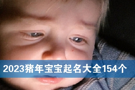 2023iꌚȫ154