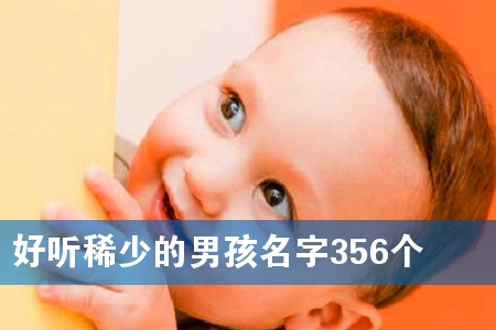  (tng)ϡٵк356(g)
