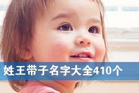 ִȫ410(g)