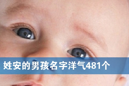 հк481(g)