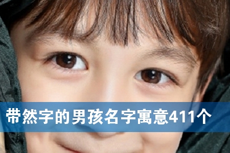 ȻֵкԢ411
