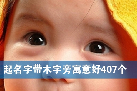֎ľԢ407
