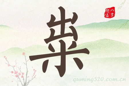 gЌʲô