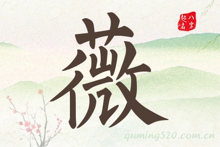 ޱЌʲô