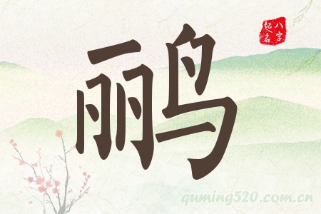ZЌʲô