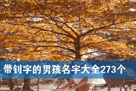ֵкִȫ273