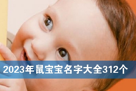2023󌚌ִȫ312