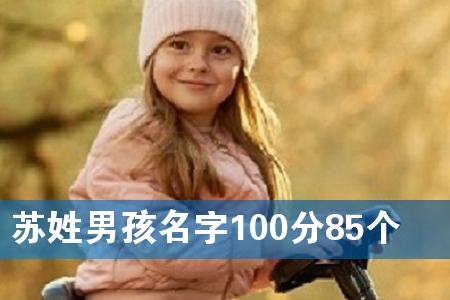 Kк10085
