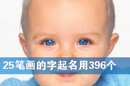 25P396(g)