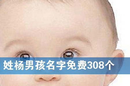 ՗кM308