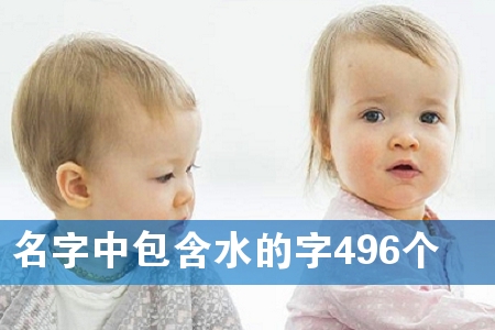 аˮ496(g)