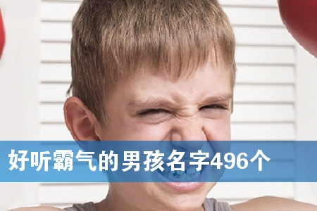  Ԛк496