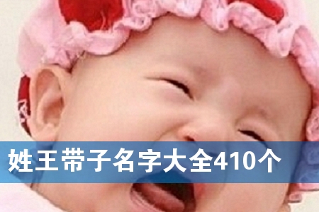 ִȫ410(g)