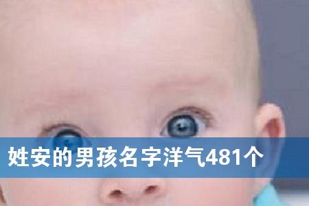 հк481(g)