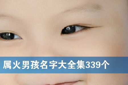 ٻкִȫ339