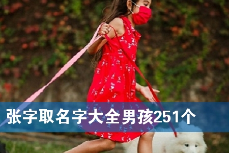 ȡִȫк251(g)