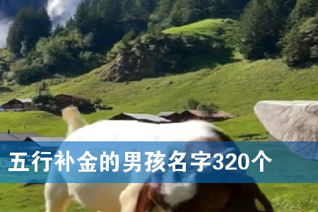aк320