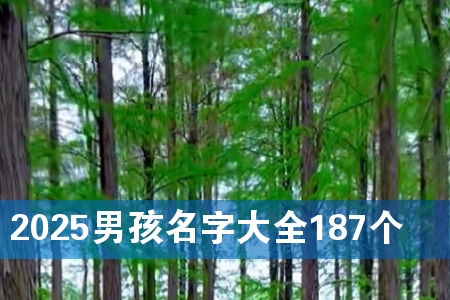 2025кִȫ187